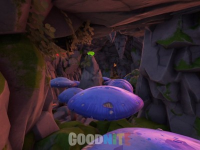 MUSHROOM MADNESS : BOAR RACE