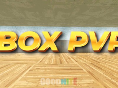 Box Fight PvP