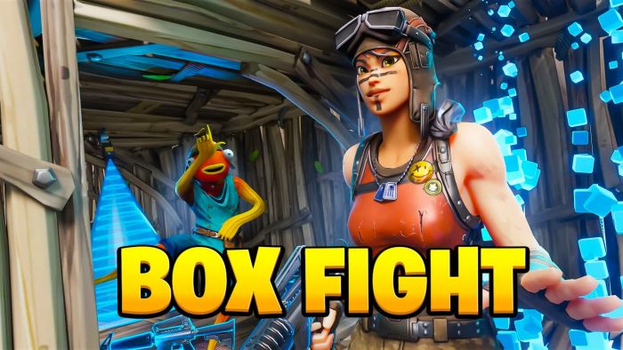 OG 1V1 BOX FIGHT