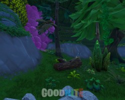 image 2 map FFA Jungle