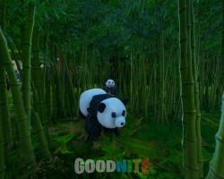 image 1 map Escape aventure: jungle