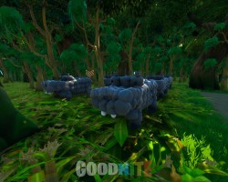 image 3 map Escape aventure: jungle