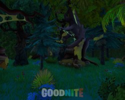 image 2 map Escape game jungle